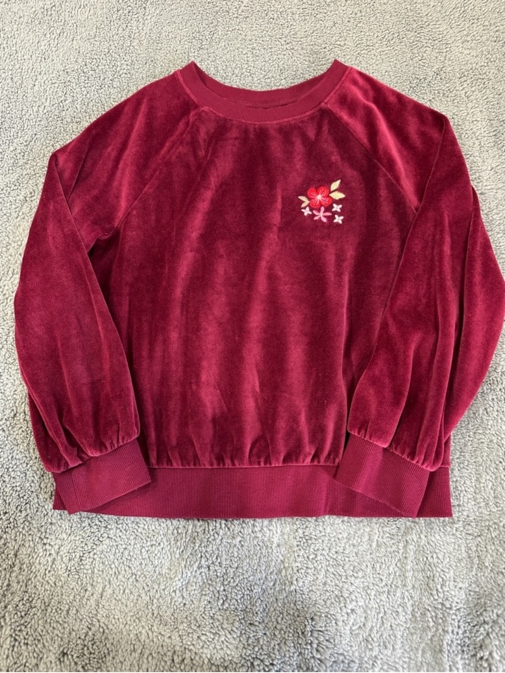 Cat & Jack velour matching set (girls)